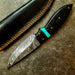 HTS-423 Drop Tip Wenge Turquoise Skinner - HomeTown Knives