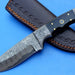 HT-10  Damascus Knife custom handmade Skinner / Buffalo Horn / Great quality - HomeTown Knives