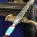 HTKVN4 Custom Handmade Damascus steel BOOT Knife/ Dagger Knife / Turquoise Bone + Walnut + Camel Bone Handle / EXCLUSIVE - HomeTown Knives